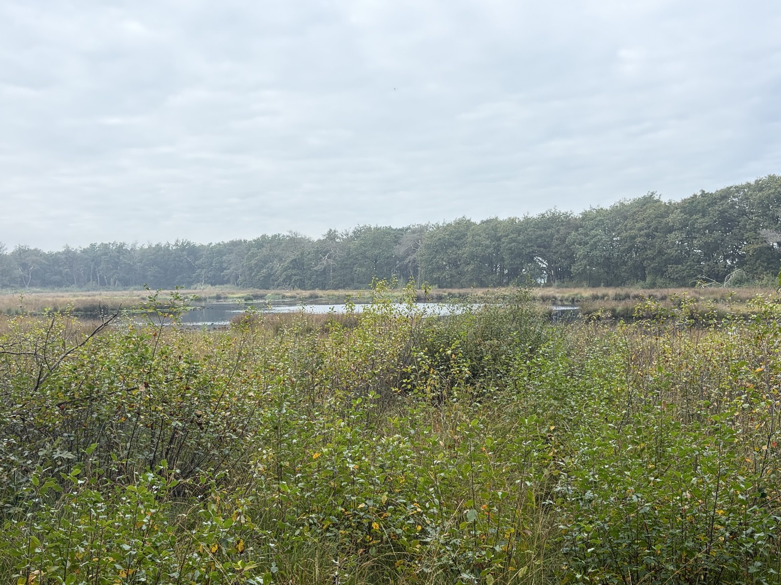 Water beyond the Grasses